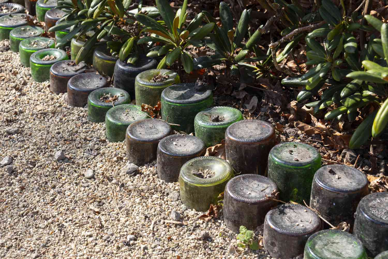 Bottles used to edge a garden