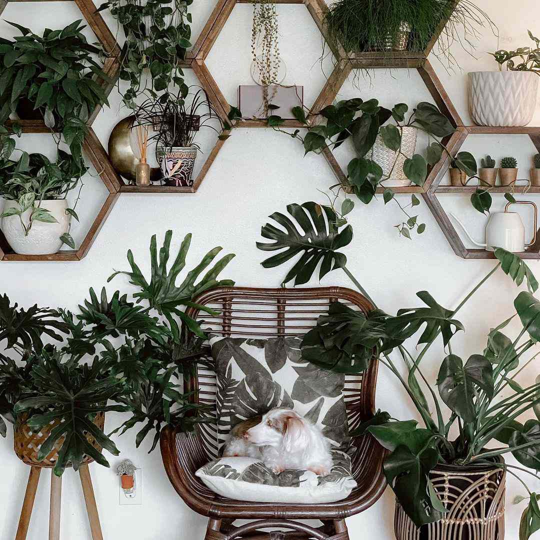 hexagon växthyllor stylade tillsammans
