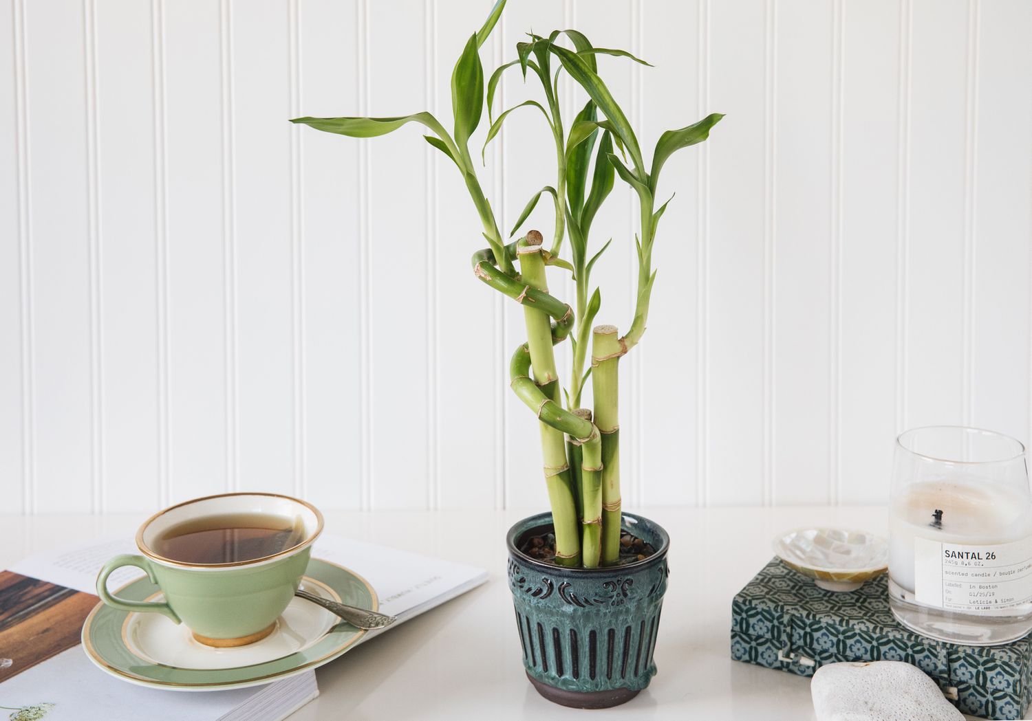 Lucky bamboo-växt i blå keramikkruka bredvid grön tekopp och feng shui-föremål