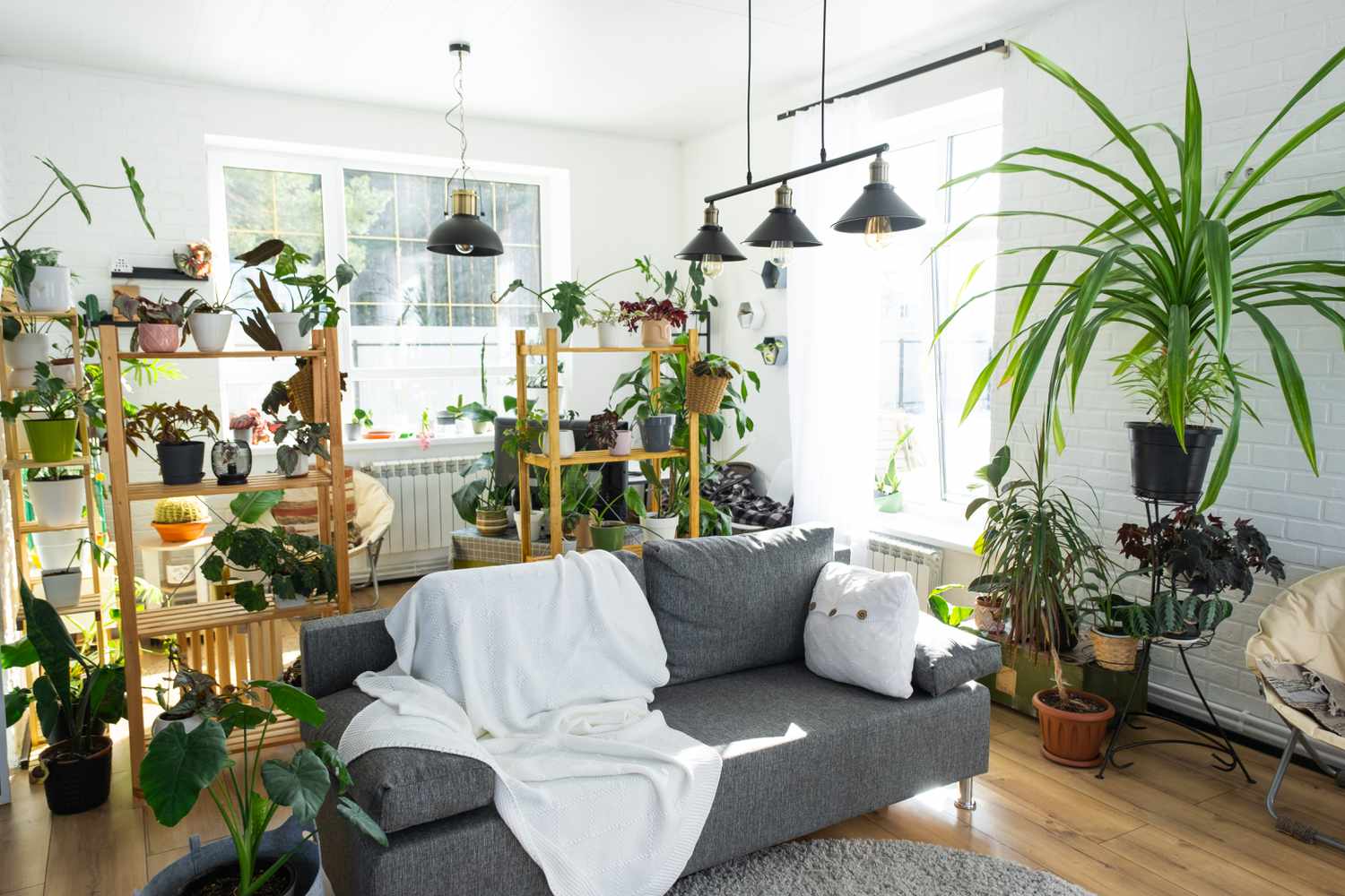 Rumdelare för växthylla