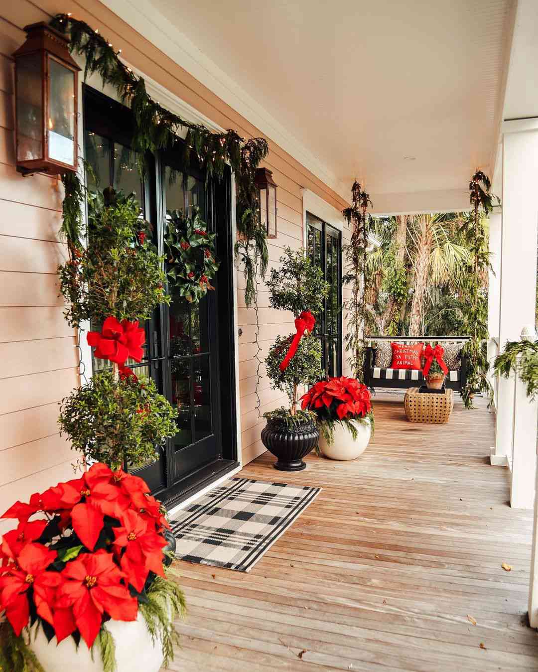 veranda julstjärnor