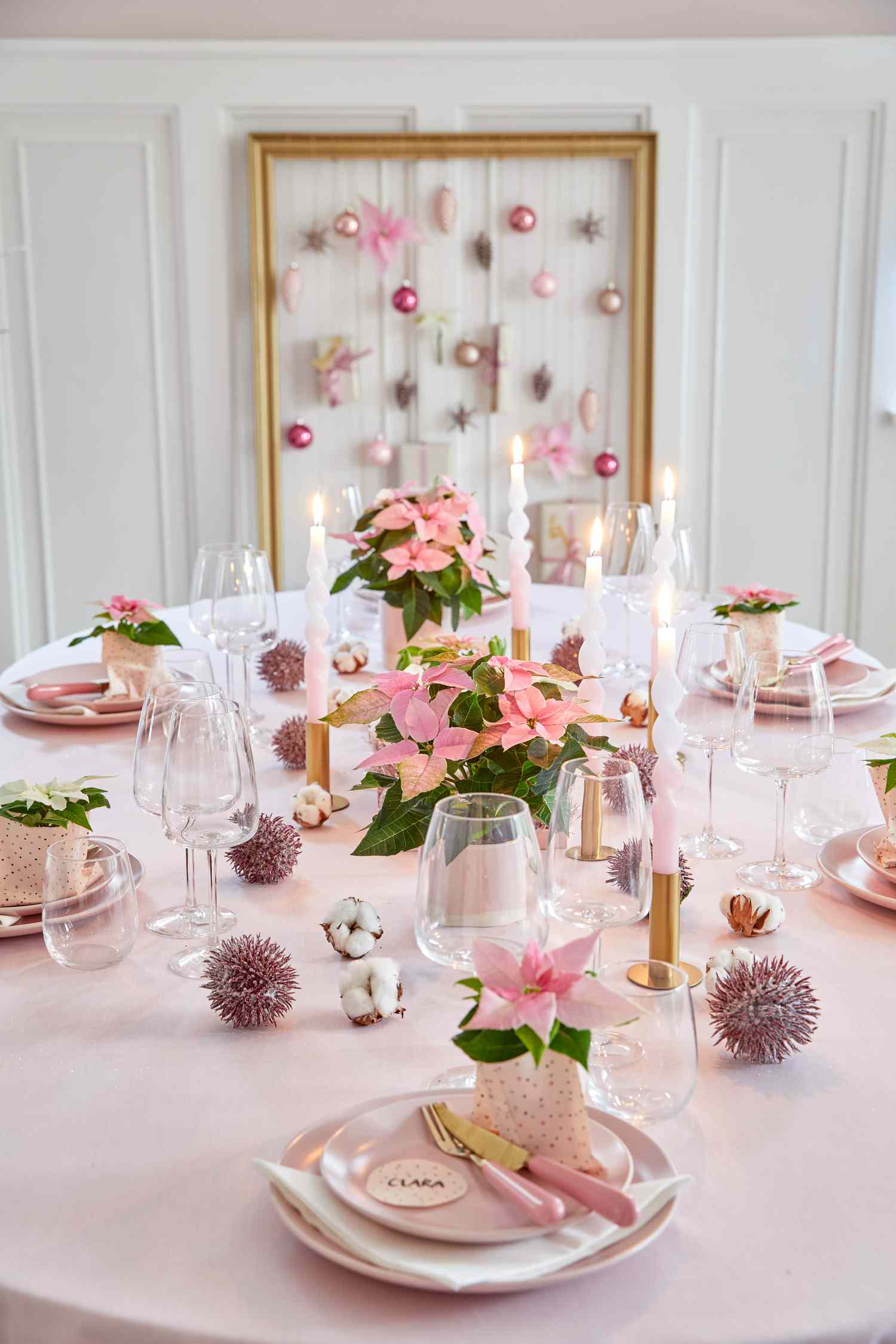 Rosa julstjärna fest
