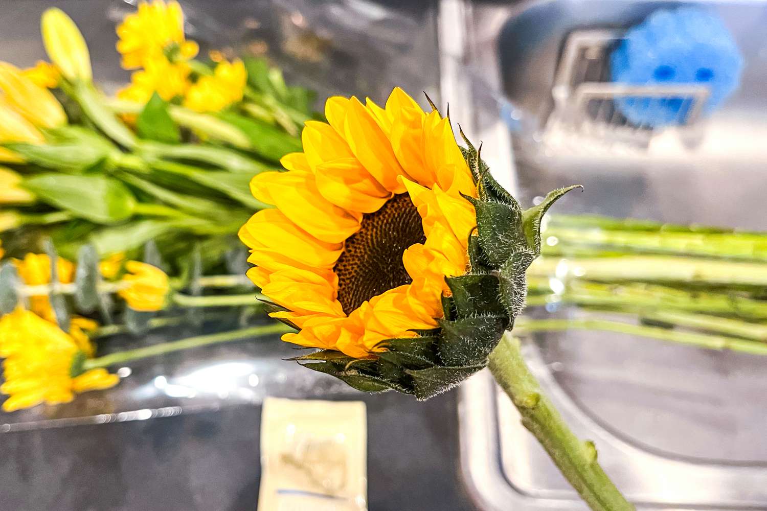 En närbild av en solros ovanför blommor i en diskho från månadens blomma-klubben