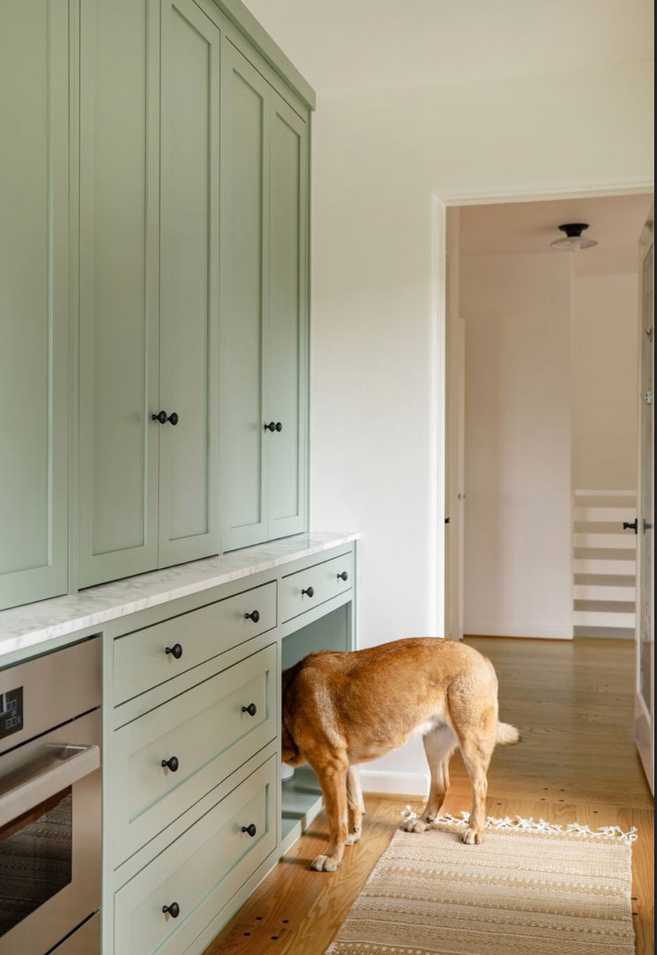 kitchen pantry dog feeding station ideas