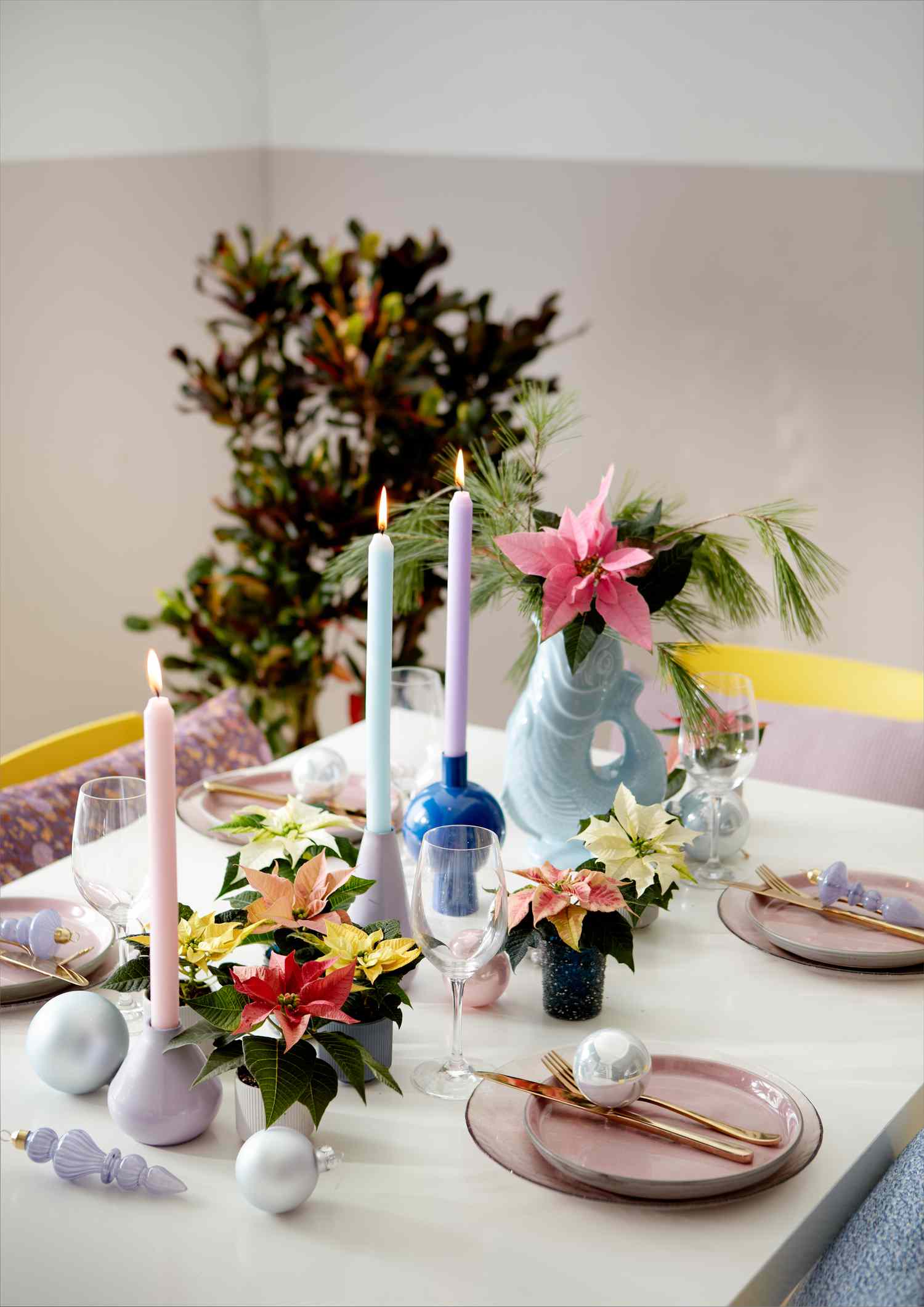 färgglada julstjärnor